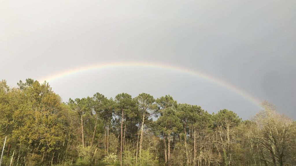 Photographie, la traverse, forêt, arc en ciel